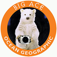2025 The Bears Ice Glaciers Arctic Climate Expedition – BIG ACE