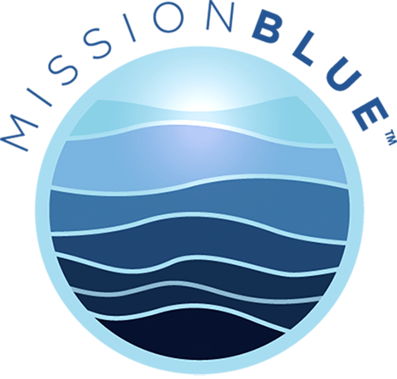Logo 3