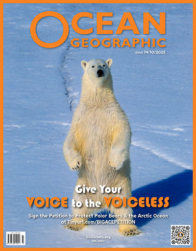 OG 74 cover