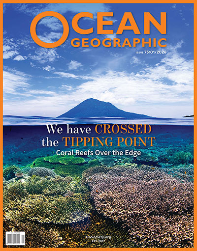 OG 75 FC IFC IBC BC main cover 1 Page 1