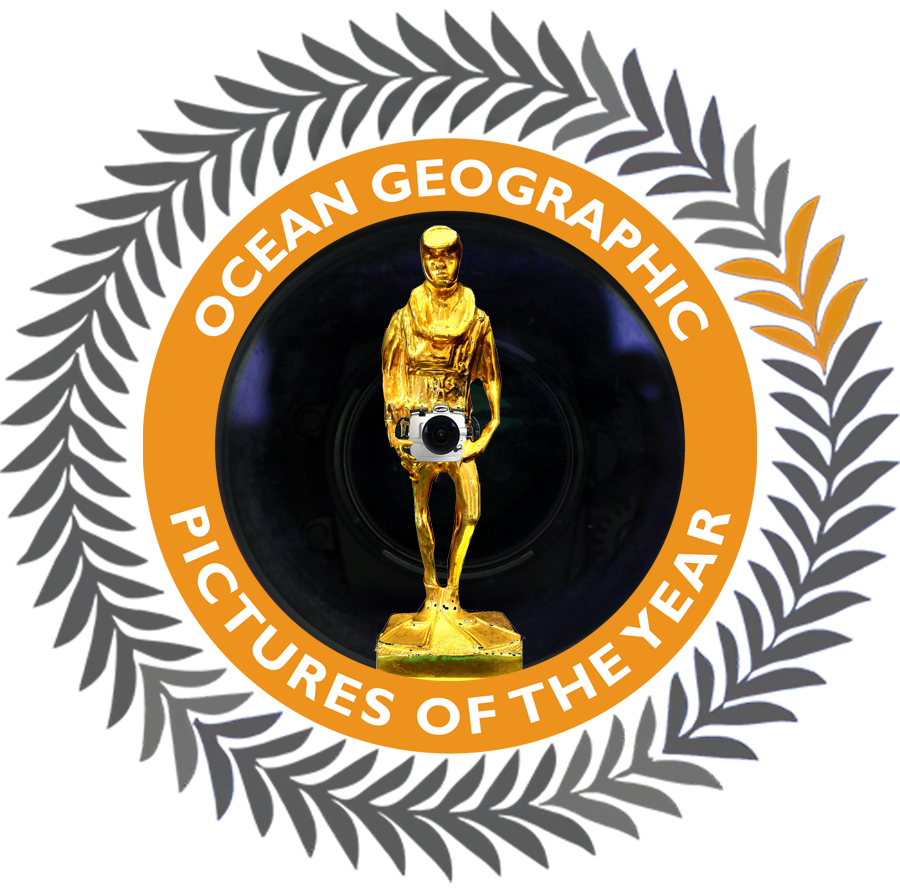 Logo 2