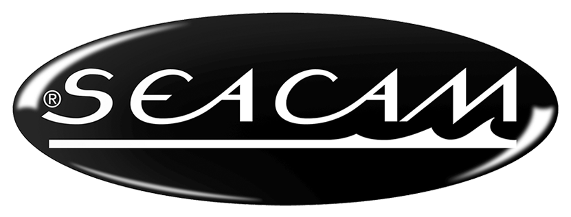 Logo 4